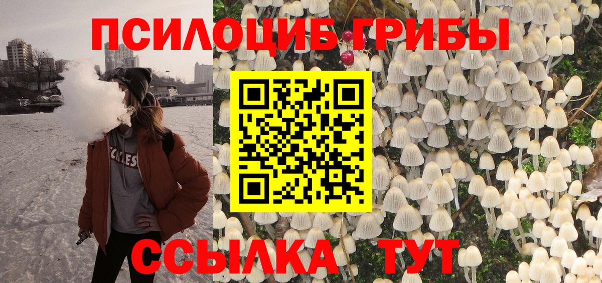 Феодосия  Галлюциногенные грибы прущие грибы  Вход с VPN  Псилоцибиновые грибы мицелий 