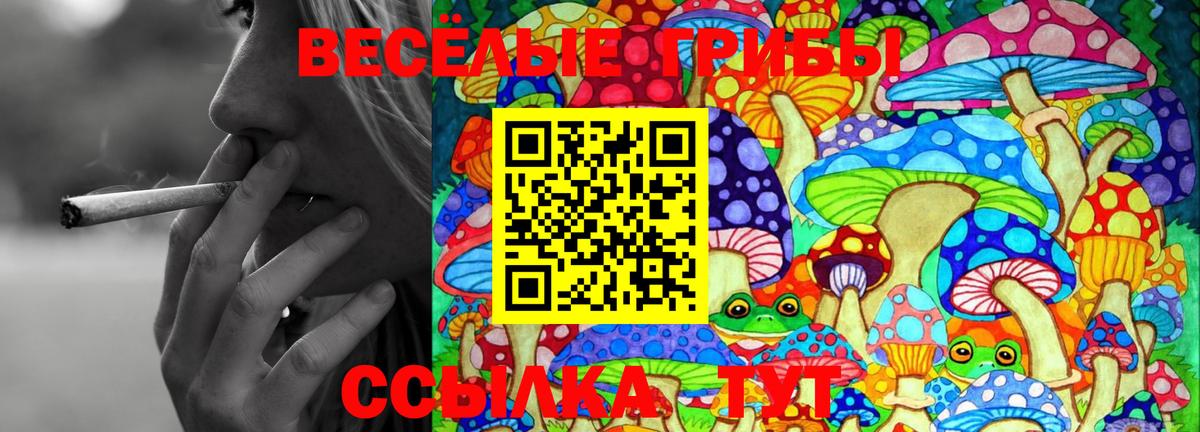 Псилоцибиновые грибы мицелий Феодосия